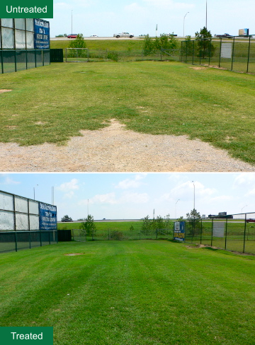 Baseball field grass before and after treatment