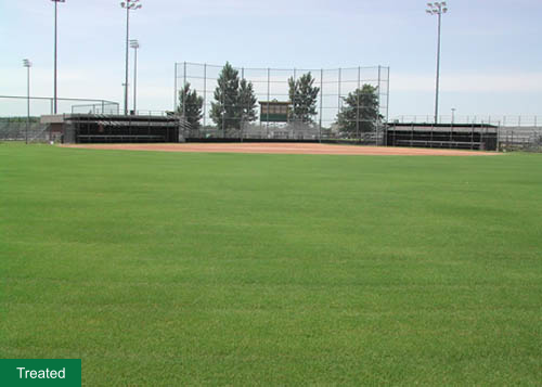 Sports field grass treatment example